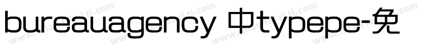 bureauagency 中typepe字体转换